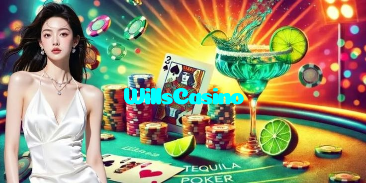available types of WillsCasino bet including pre-match live express and system bets